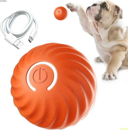 Pet Rolling Ball