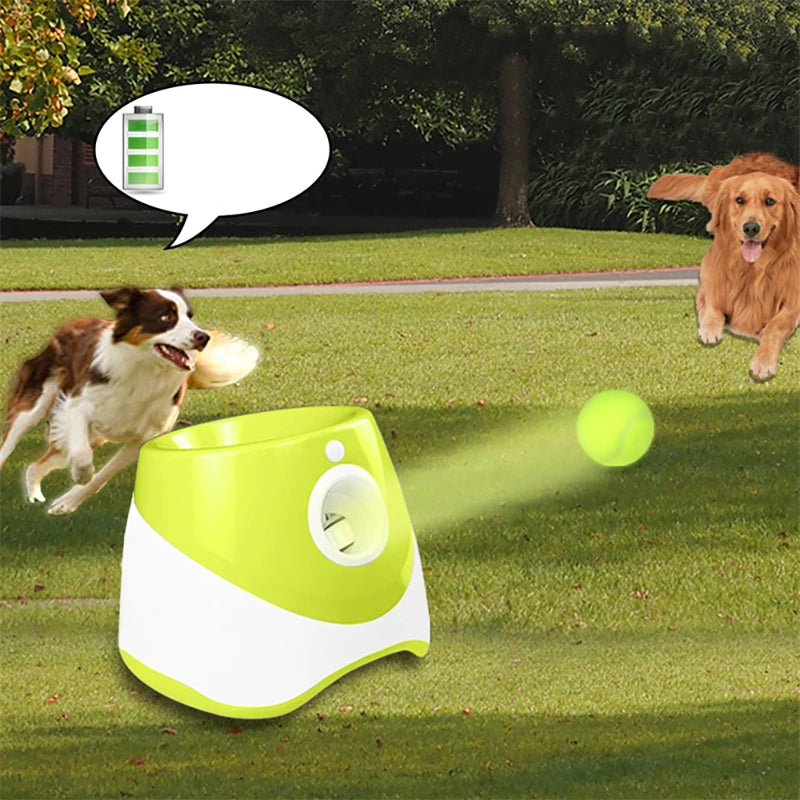 Tennis Launcher Automatic for dog