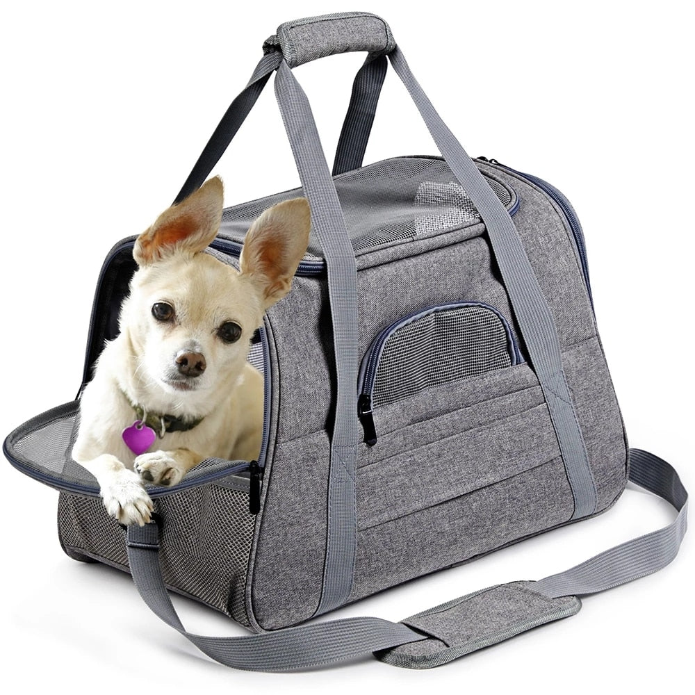 Bag Dog Backpack - The pet store