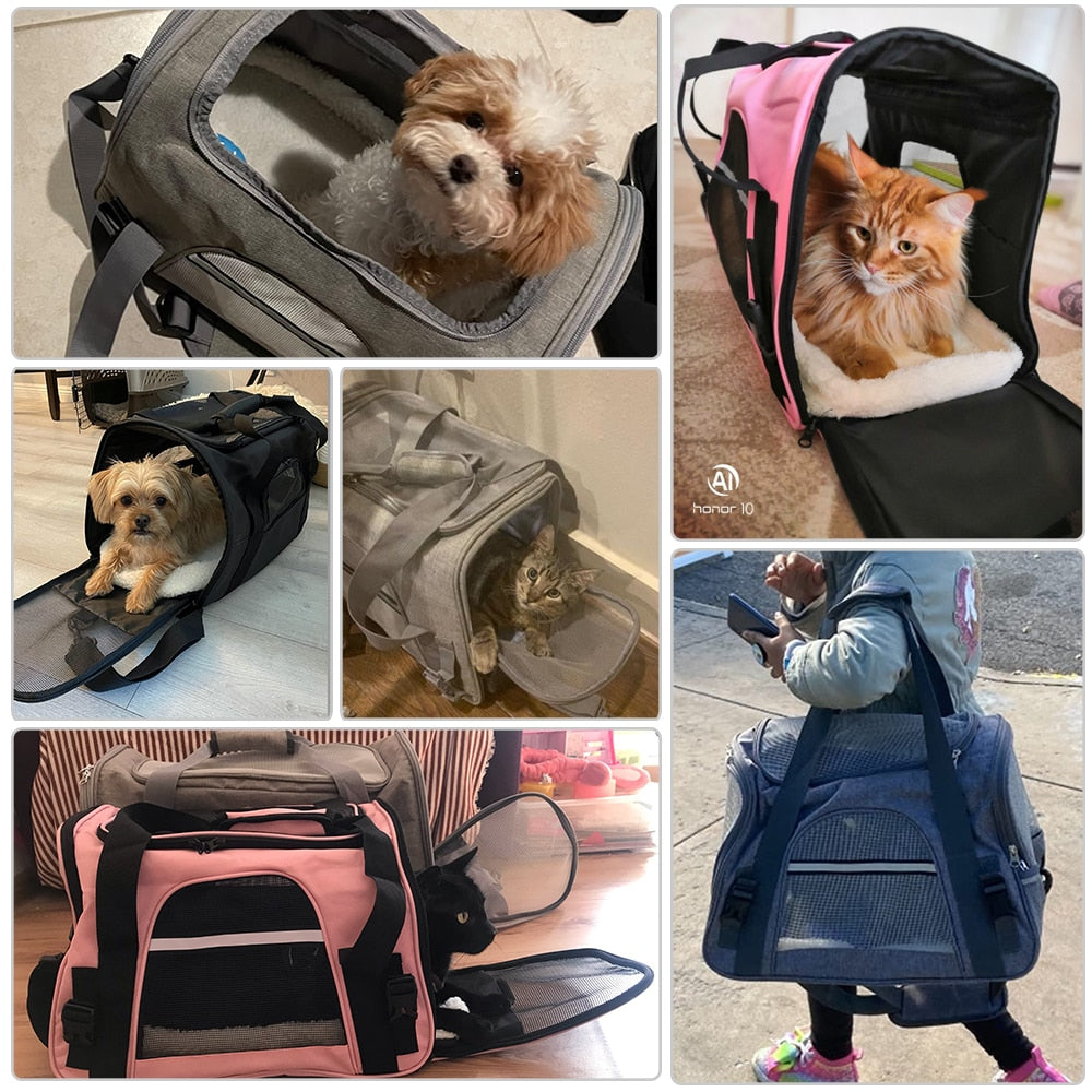 Bag Dog Backpack - The pet store