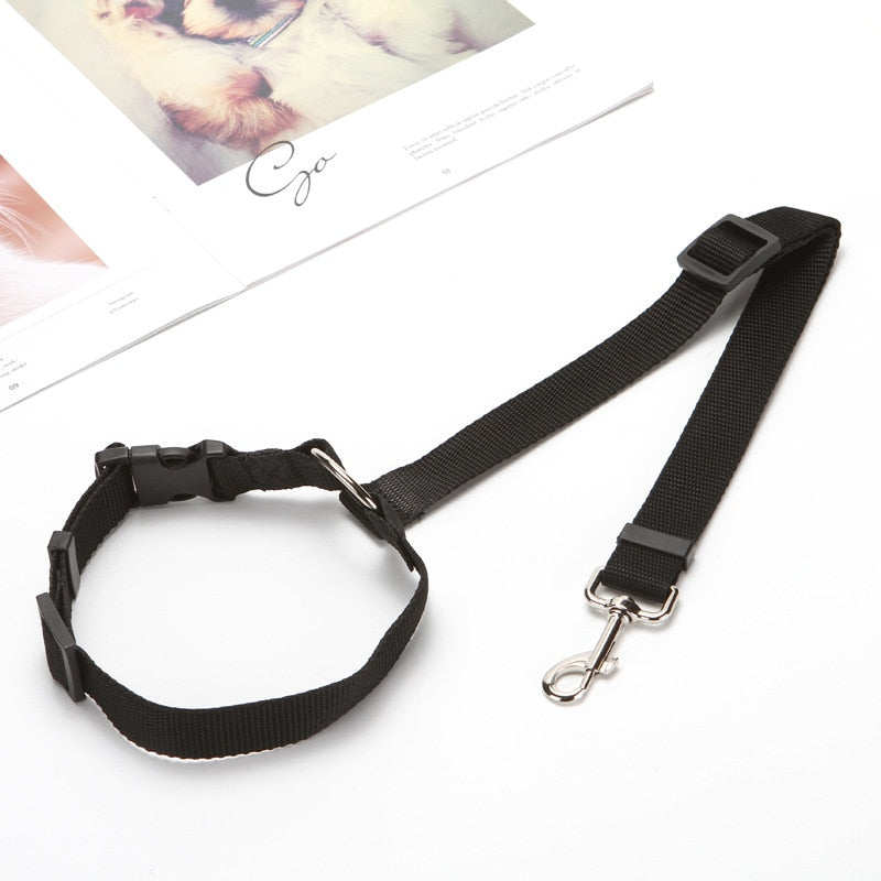 Pet back seat safety belt - The pet store