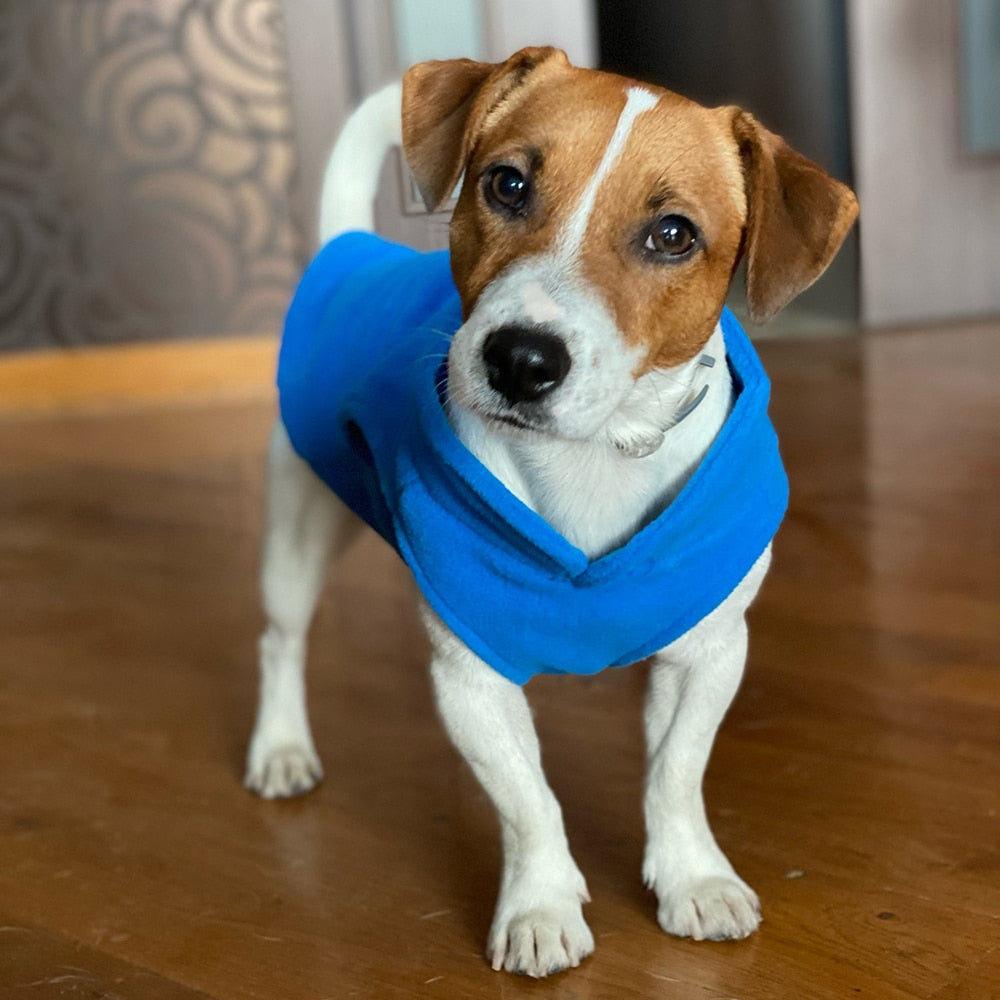 Fabulous Winter Fleece For The Small Dog Lover - The pet store