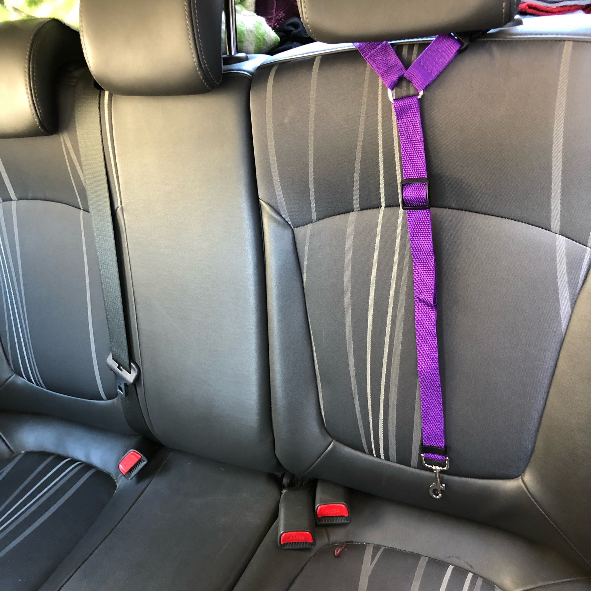 Pet back seat safety belt - The pet store