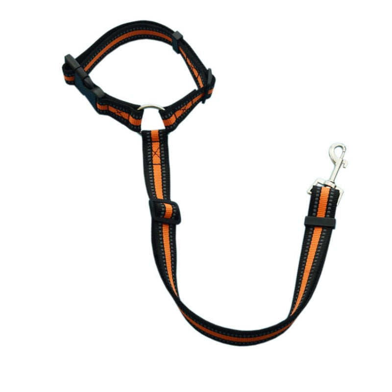 Pet back seat safety belt - The pet store