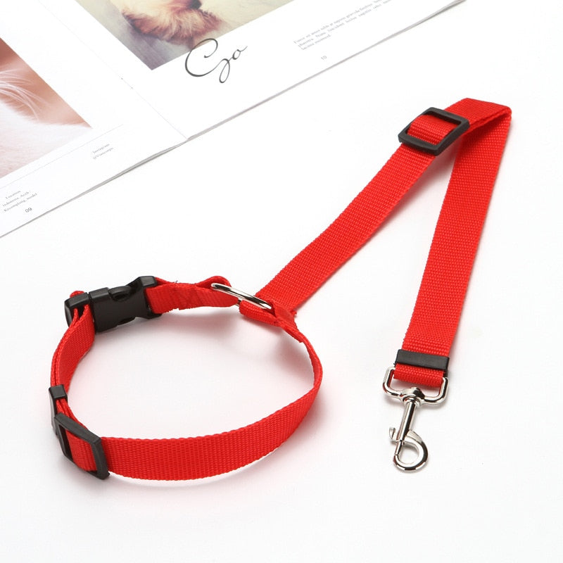 Pet back seat safety belt - The pet store