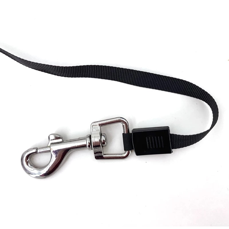 Pet traction rope - The pet store