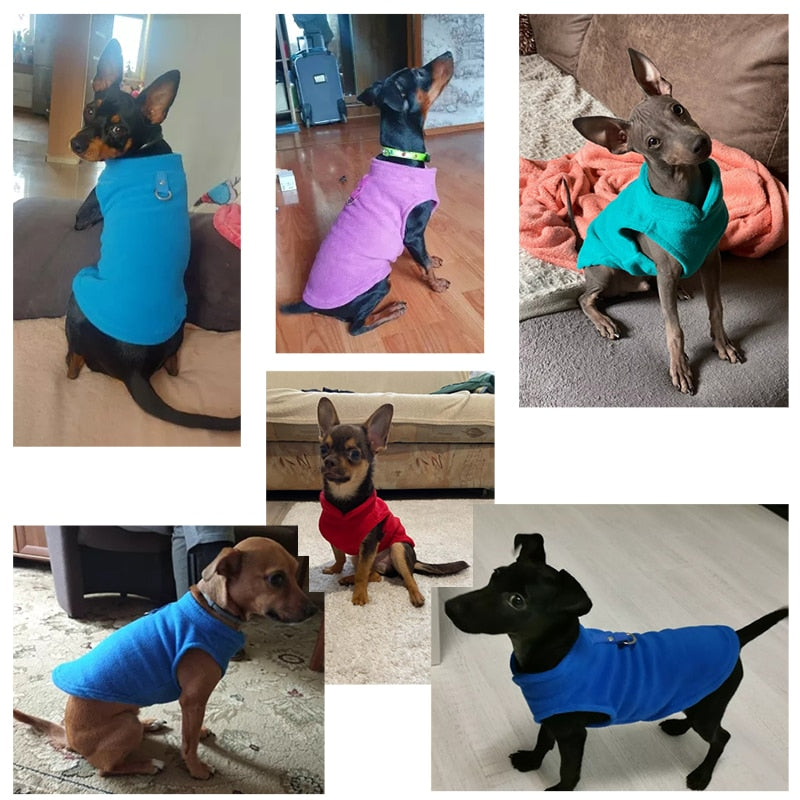 Fabulous Winter Fleece For The Small Dog Lover - The pet store