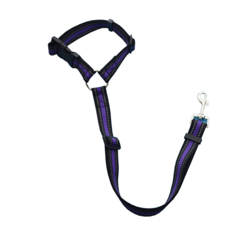 Pet back seat safety belt - The pet store