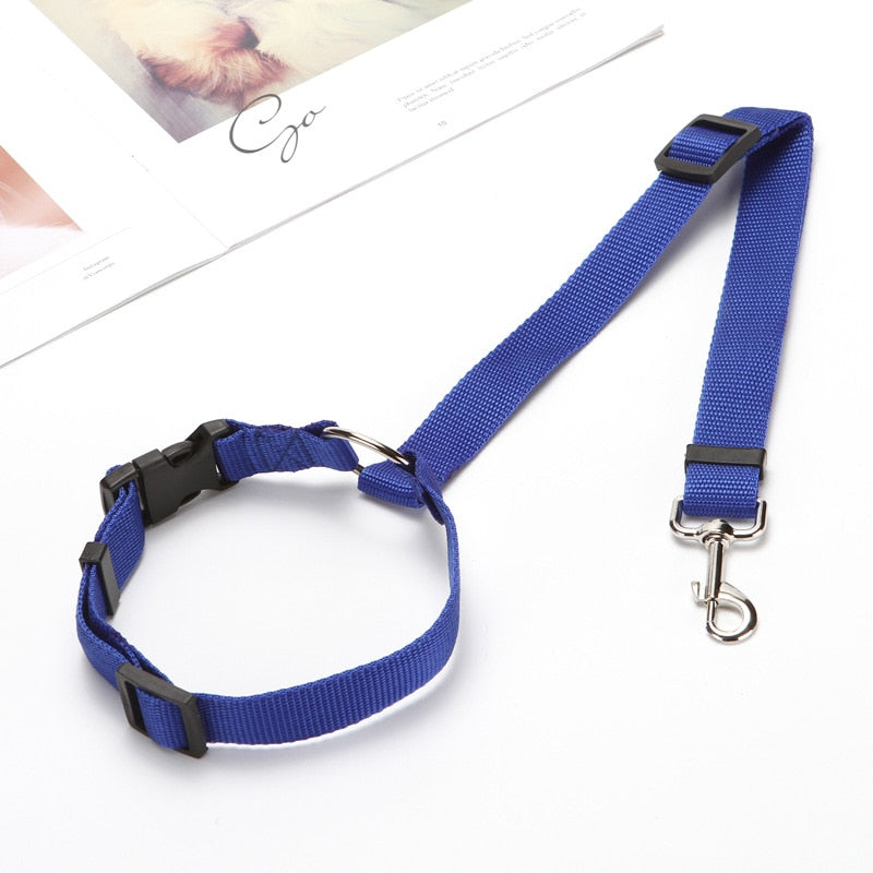 Pet back seat safety belt - The pet store