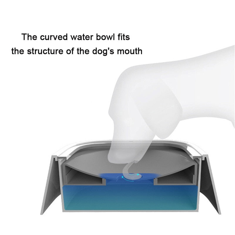 Pet water bowl - The pet store