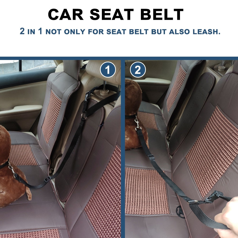 Pet back seat safety belt - The pet store